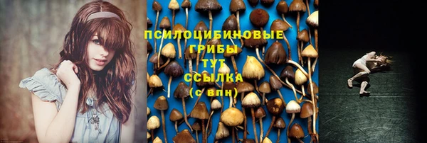 кокс Баксан