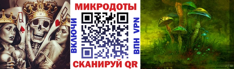 Купить где  Ладушкин  Галлюциногенные грибы Cubensis 